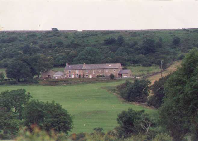 Our Farm viewed from the South